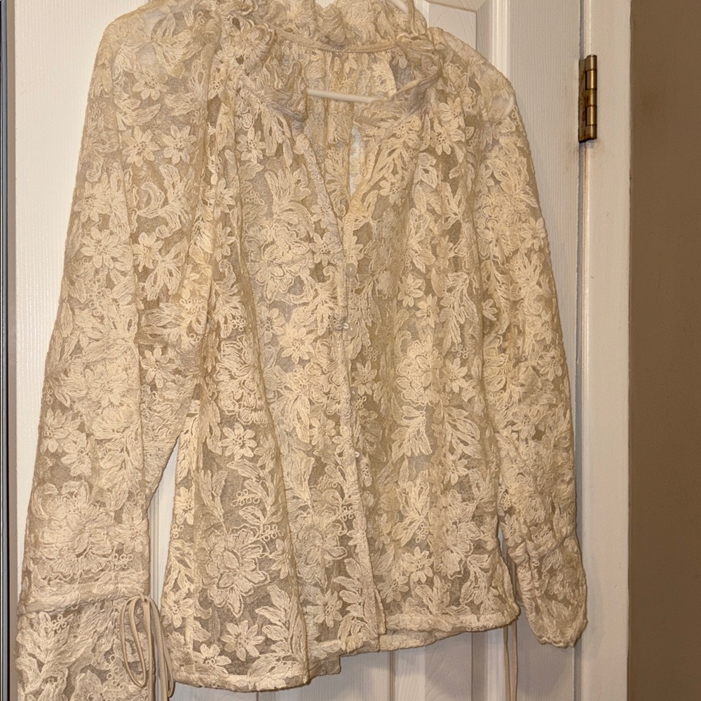 Elegant Cream embroidered Lace sheer Blouse - Picture 4 of 8